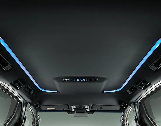 JDM Toyota Alphard S Type Gold II Interior Panel